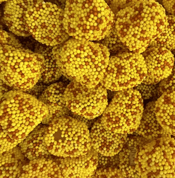 Mure Perlé Cola Citron - 100g
